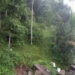 gunung kasur dan cikawah bogor 2020 oktober (18)