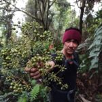 gunung kasur dan cikawah bogor 2020 oktober (45)