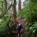 gunung kembang des 2024 (94)