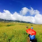 img 20160510 wa0018