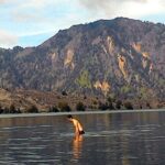 img 20160514 wa0007