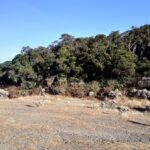 img 20180814 wa0004