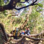 img 20191118 wa0105