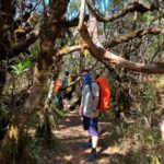 img 20191118 wa0191