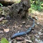 img 20191118 wa0321