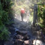 img 20191118 wa0462