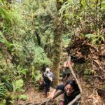 img 20231015 wa0010