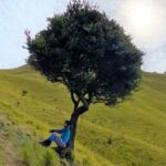 img 0341
