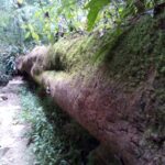 img 20180812 131146