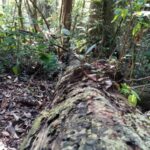 img 20191116 065520