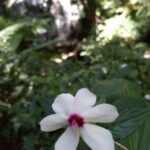 img 20191116 110059