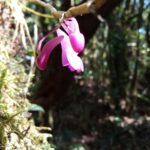 img 20191116 140441