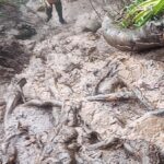 manglayang 2019 (5)