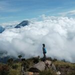sumbing via batursari juli 2022 (106)