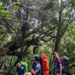surken gunung gede maret 2025 (779)