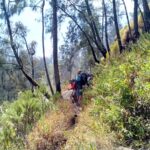 argopuro grup view (29)