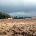 argopuro grup view (59)