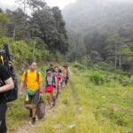 bush craft (2)