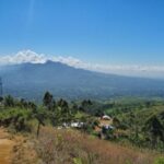 cikuray cihuy 2017 (14)
