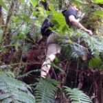 gede mar 2015 (15)