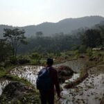 gunung gagak gak jadi (9)