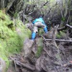 kerinci 2013 (31)