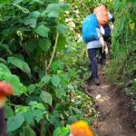 slamet bambangan agustus 2023 (11)